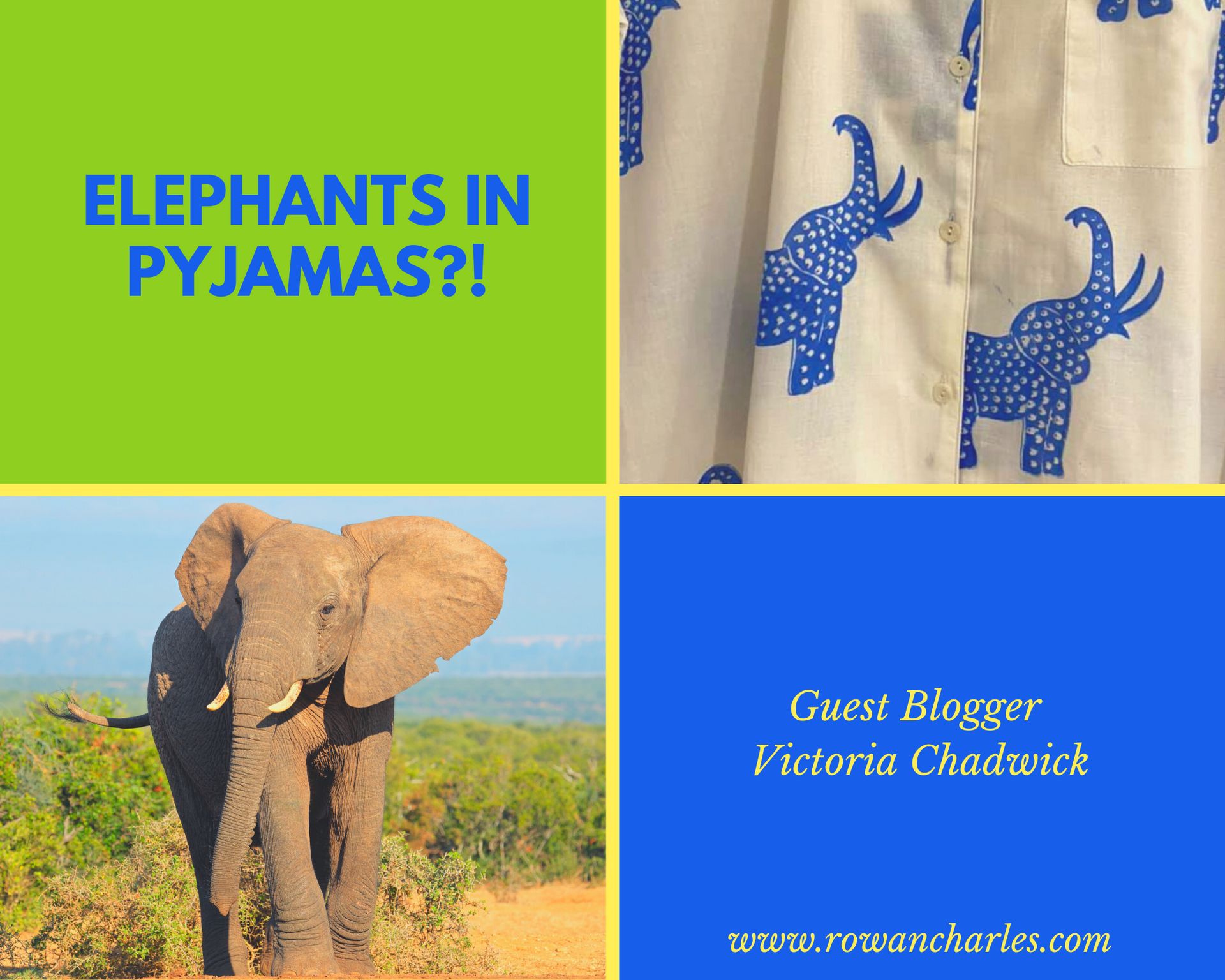 Pyjama elephant best sale